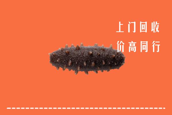 鸡西市虎林市回收海参