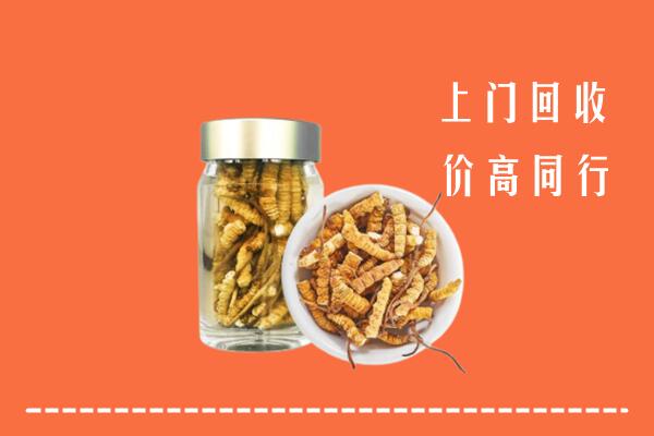 鸡西市虎林市回收冬虫夏草